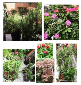 Screen Shot 2015-05-19 at 19.01.13